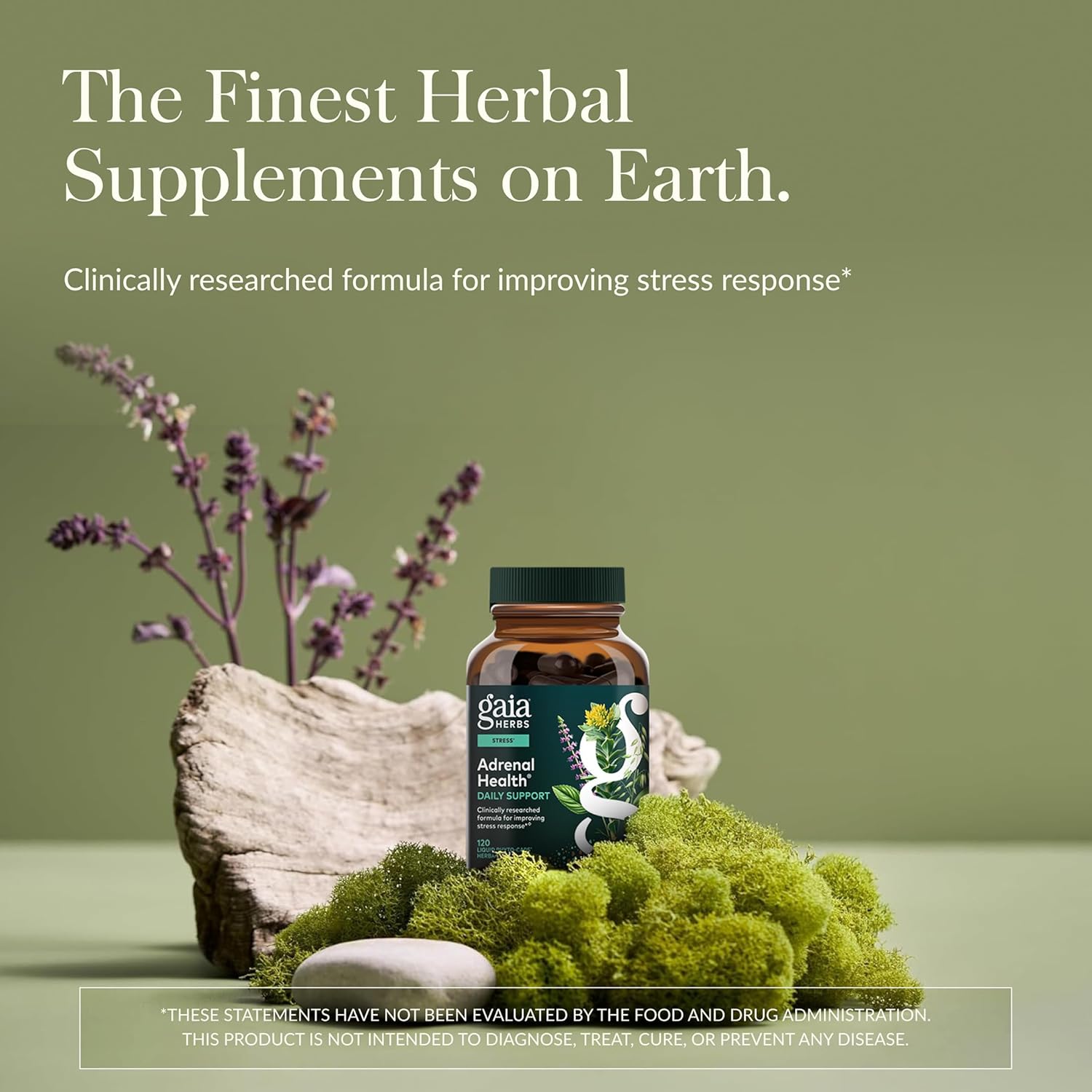 Gaia Herbs Adrenal Health Daily Support - Herbal Supplement with Ashwagandha, Holy Basil & Schisandra - Help Maintain Healthy Energy & Stress Levels* - 120 Vegan Liquid Phyto-Caps (60 Servings)
